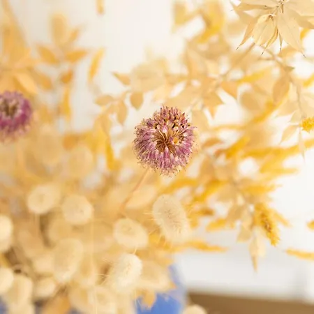 Familiale Proche Plage&forêt Avec Piscine Privée à Sur * Jard-sur-Mer