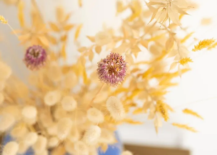 Familiale Proche & Foret Avec Piscine Privee A Sur Villa *